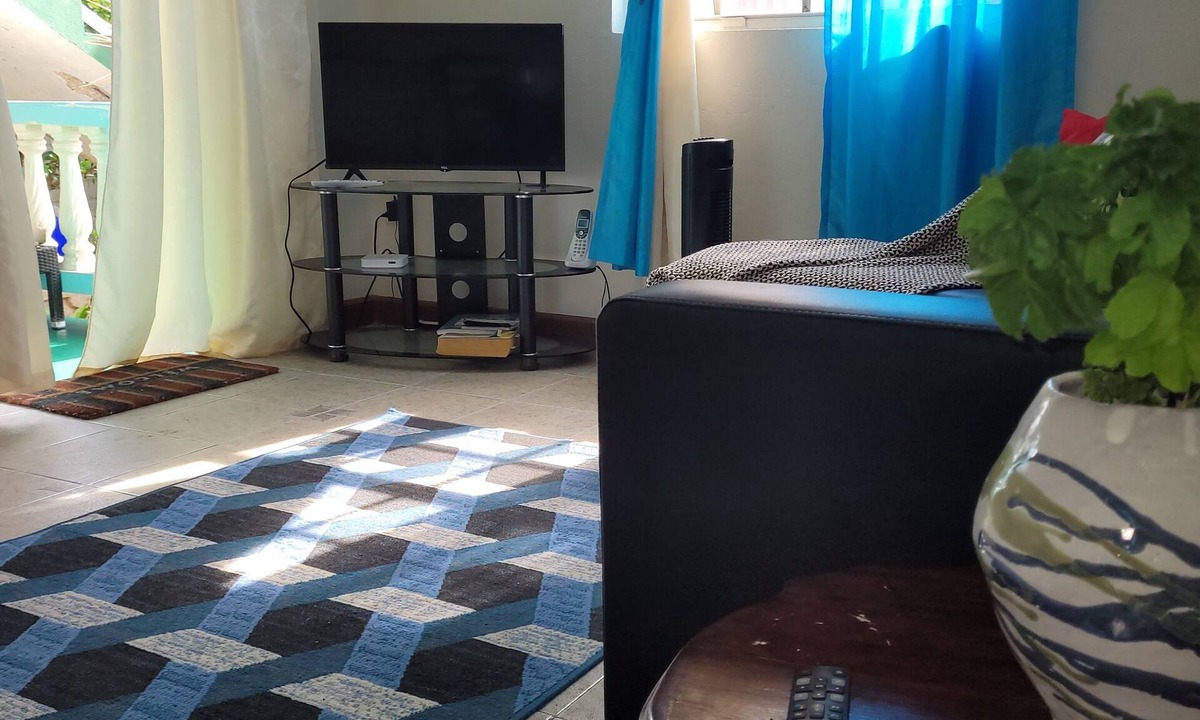 Weston Ski Chalet | 1 Bed 1 Bath West Coast Apartment