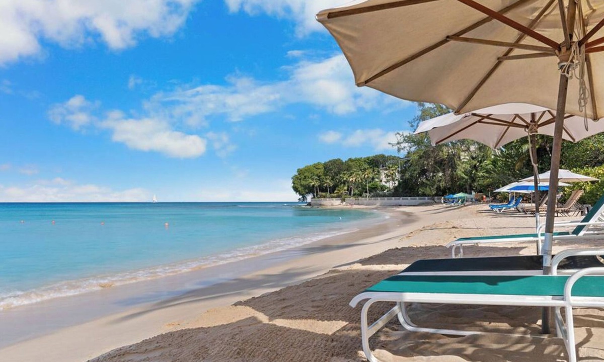 Old Trees Bay Apartment | 1 bedroom Beachfront Condo, small pool, gorgeous sea view