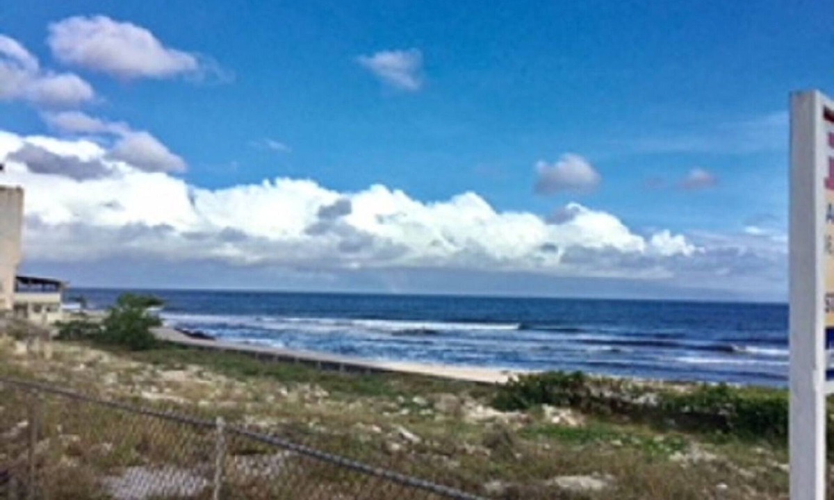 West Coast Apartment | Apartment Hastings Studio 1D Opposite the Sea, Restaurants, Shops, Cafe, Bars!