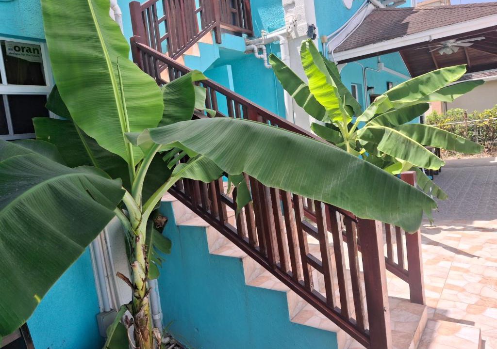 Dover Apartment | BLR Villas Dover Beach