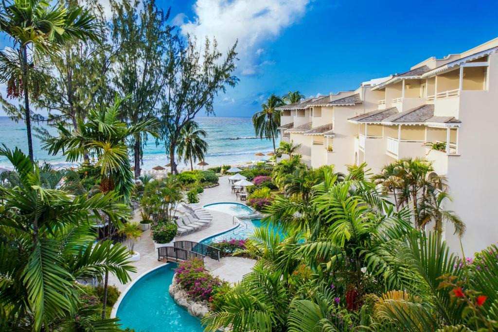 Bougainvillea Barbados | Maxwell