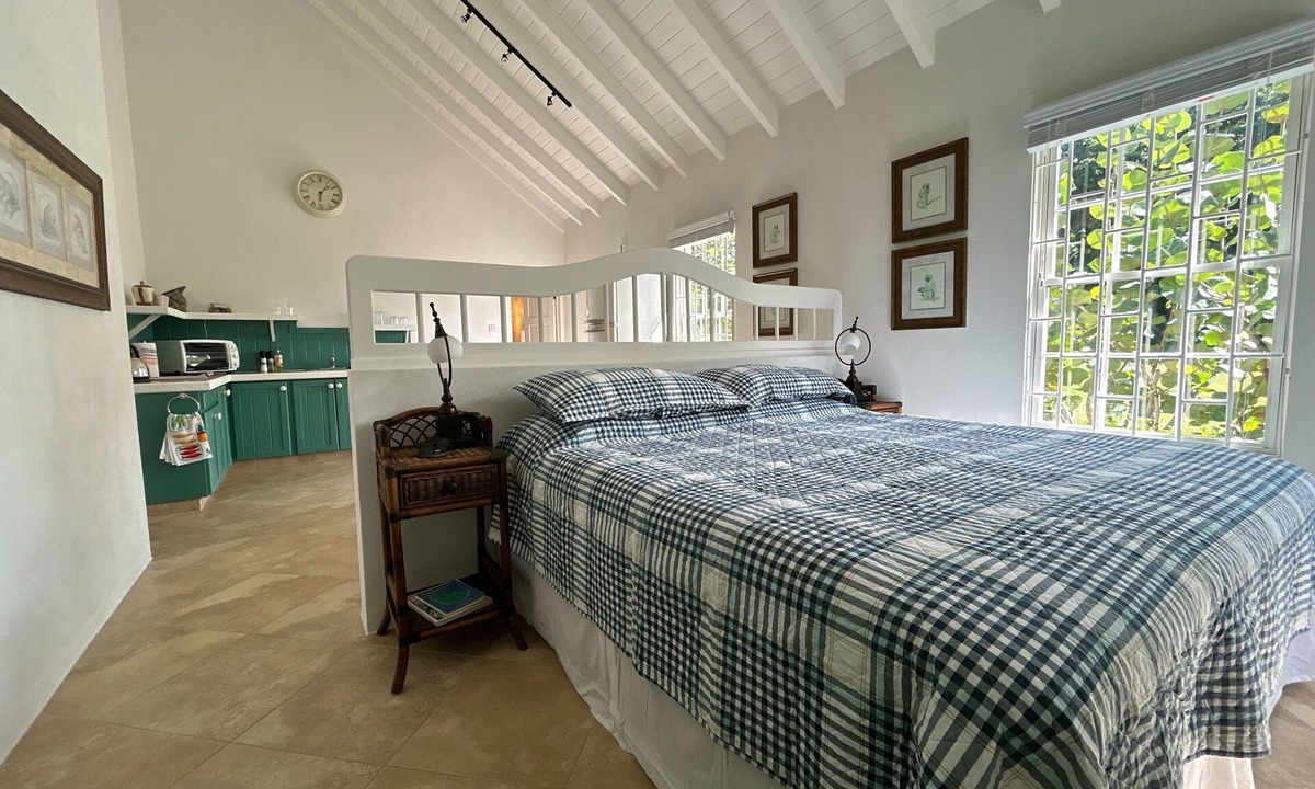 Atlantic Shores Apartment | Bright Surf Studio King Bed A/C Fast WiFi Walk to Freights & South Point