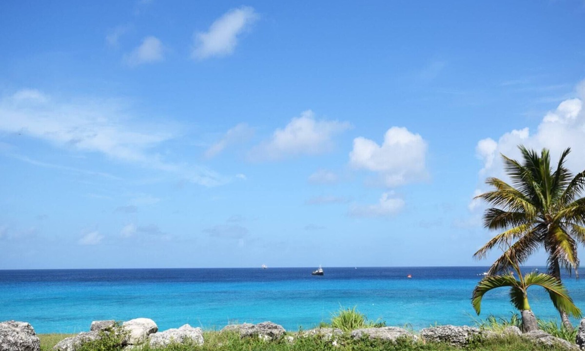 Enterprise Condo | Coastal Serenity - Rooftop Terrace, 1 minute to ocean