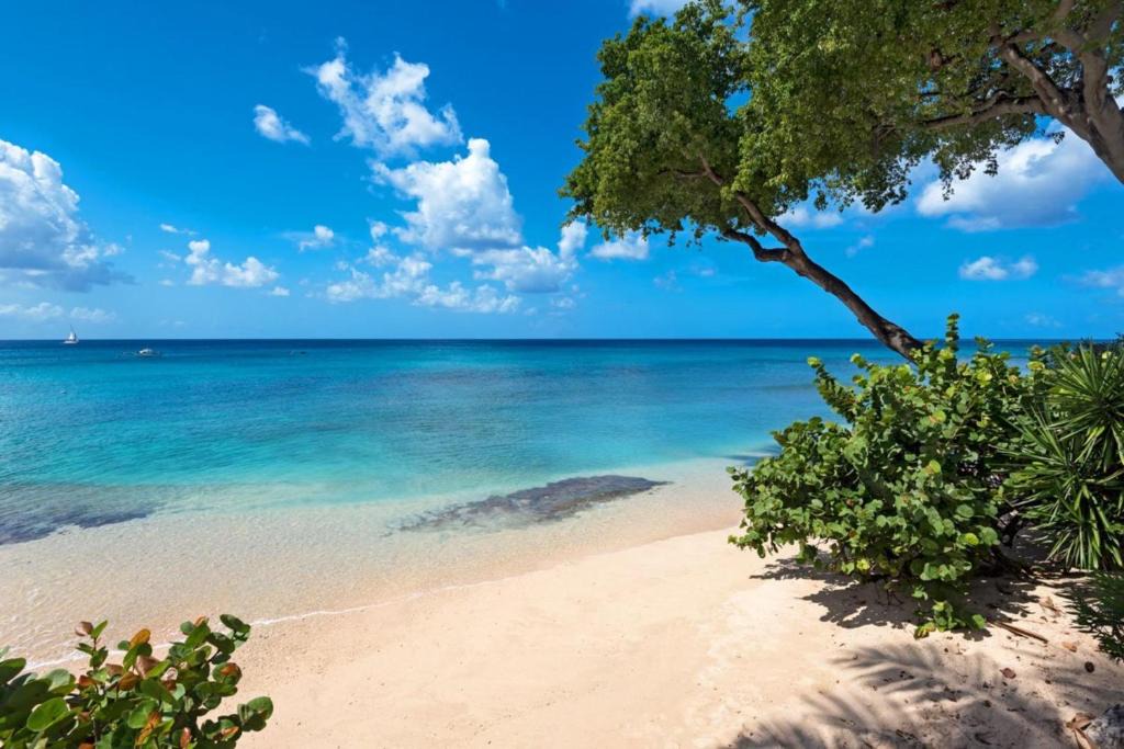 Old Trees Bay House | Mahogany Bay by Blue Sky Luxury