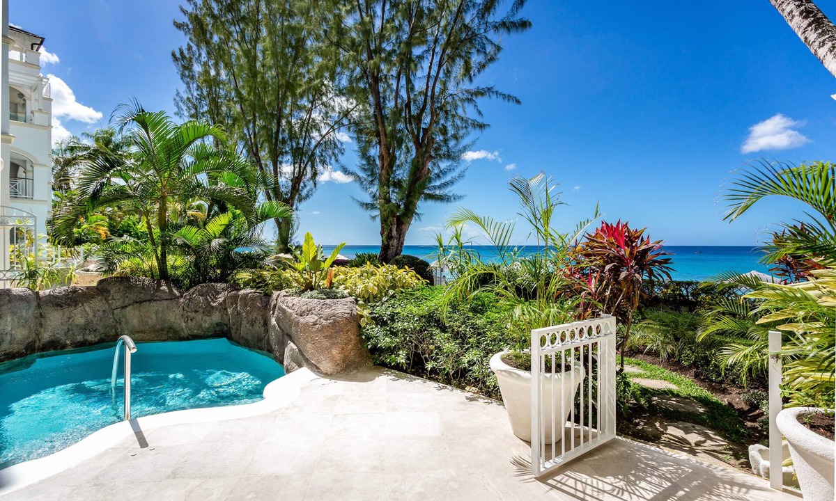 Old Trees Bay Apartment | Palms Old Trees 4 2B