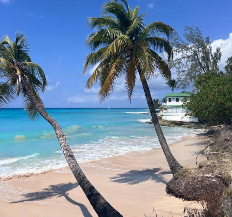 Little Battaleys Villa | Purple Rain - Direct Beach Access, Ocean views, 2 Bedroom, 2 Bathroom, Mullins Beach Front Bliss