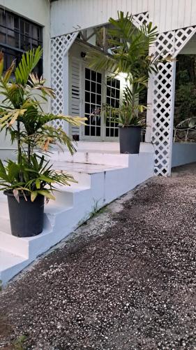Blue Waters House | Rain