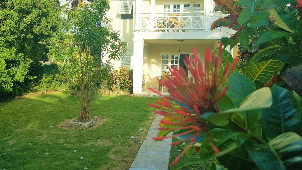 Old Trees Bay Apartment | Shades