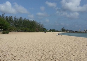 Beach Nest