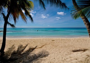 Beach Nest