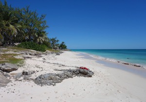 Beachfront 2 bedroom house right one the white sand beach of Silver Sands