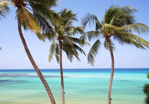 Beachfront Ocean View Apt with Pool - Leith Court 3