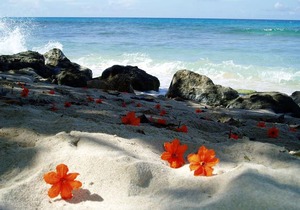 Divi Southwinds Beach Resort