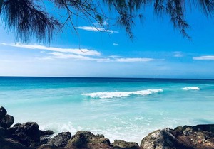 Divi Southwinds Beach Resort