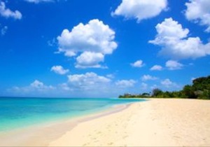 Enjoy A Peaceful Vacation Steps away from a Pristine Beach On The West Coast.