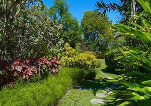Villa Aliseo | Near Ocean - Located in Tropical Sandy Lane with Private Pool