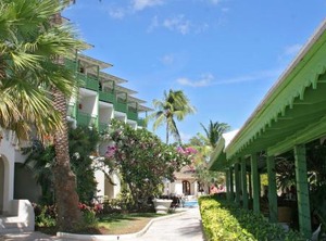 Mango Bay All | Lascelles
