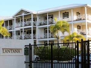 Lantana | Weston