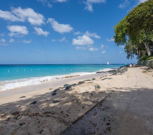 Thespina The Beach 