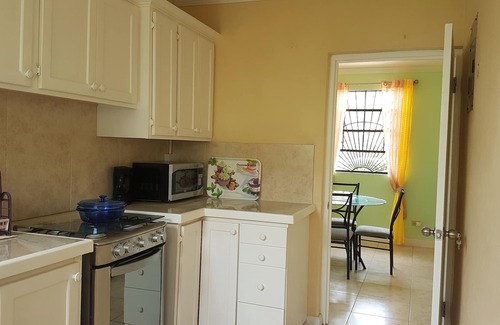 Gibbons Boggs Apartment | Air Conditioned 1 Bedroom Apartment 5 minutes away from Miami Beach
