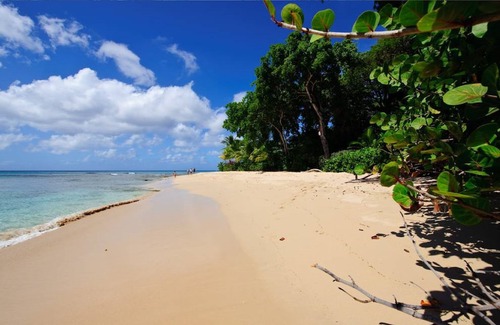 Fitts Village House | Beautiful Beach Townhouse, private pool, 2 Bedroom
