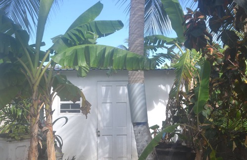 Douglas Apartment | Cozy Tropical Escape-1 Bedroom