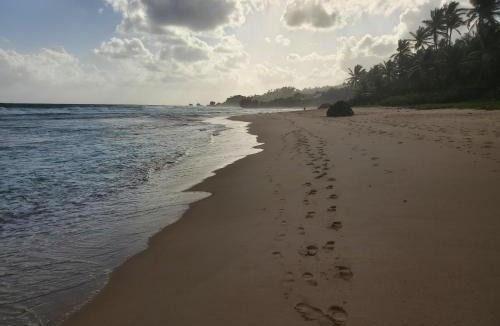 Hill Crest Apartment | Atlantic Breezes