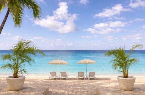 Old Trees Bay Hotel | Blue Monkey Hotel & Beach Club