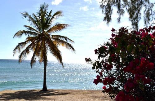 Atlantic Shores Apartment | Coastal View7 Apt #3