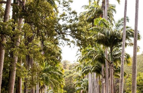 Small Hope Apartment | Codrington College
