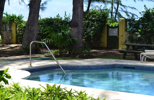 Brighton Apartment | Comfortable, Tropical, Beachfront Living