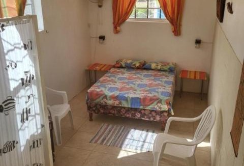 Dover House | Dolphin Inn Guesthouse & Apartments