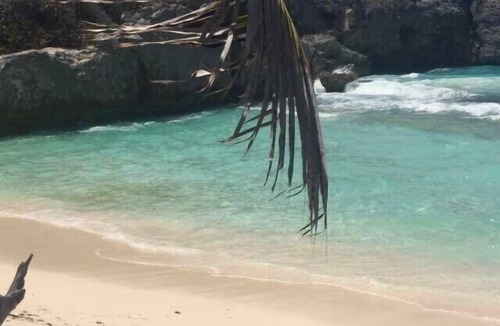 Wildey Apartment | Joint apartments Your ideal base for exploring Barbados- Pine Breeze Apartments.