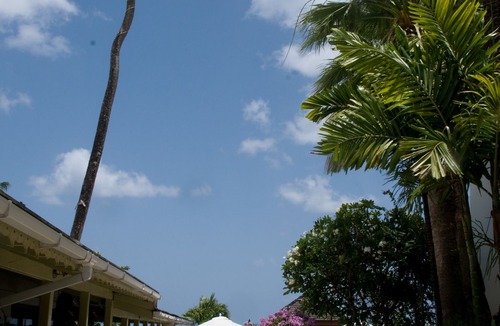 Lascelles Hotel | Mango Bay All Inclusive