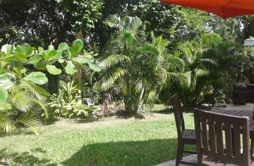 Saint Sylvans Apartment | MostRelaxingNatureRetreat/Super Quiet Space in Natural Tropical Forest