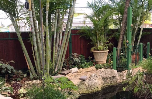 Marine Gardens Cottage | One bedroom self contained cottage