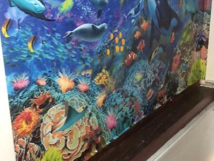 Weymouth House | Patricias Retreat - above Food and Belly Restaurant