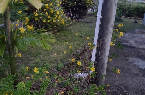 Retreat Apartment | Relaxing vacation home getaway where you can experience local Barbadian culture