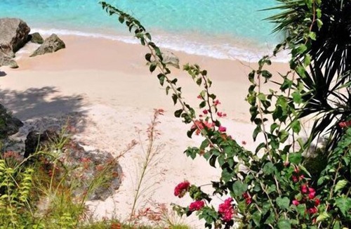 Derricks Apartment | Secret Cove 1 | Beach Front - Located in Stunning Saint James with Private Chef Services