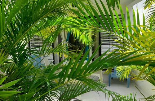 Rendezvous Apartment | The perfect place to escape the hustle and bustle of everyday life.