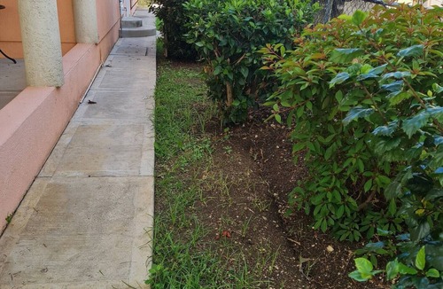 Fitts Village House | Tranquil 3-Bedroom House With AC In St James