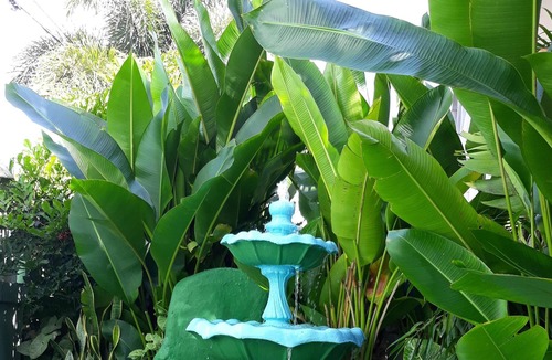Maynards Apartment | Tropical Petal Apt. for Two-w a/c, k-sized bed TV, super wi-fi.