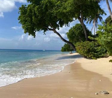 Holetown Villa | Westmoreland Hills - Mount Standfast - St James - Full Gym Membership