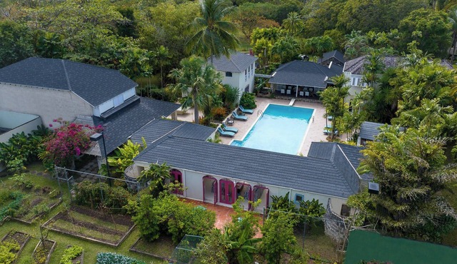 Bon Vivant in Holetown