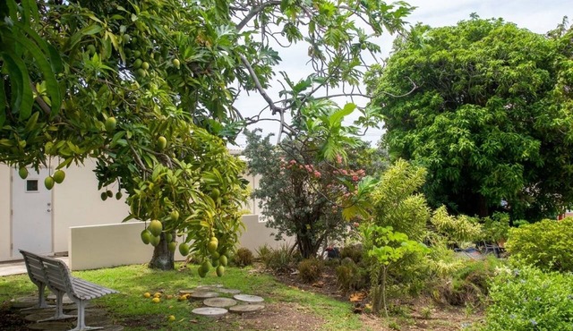 Mango Overboard Garden Retreat in Oistins