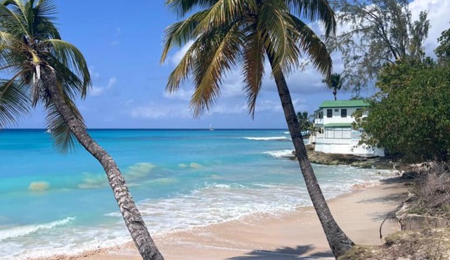 Purple Rain - Direct Beach Access, Ocean views, 2 Bedroom, 2 Bathroom, Mullins Beach Front Bliss in Saint Peter