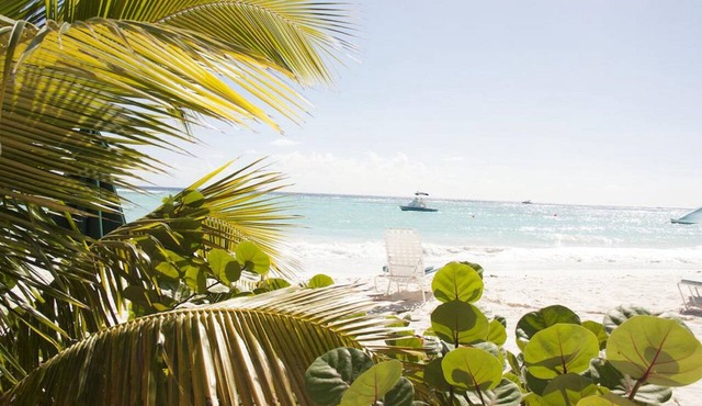 Vedanta Resort in Worthing