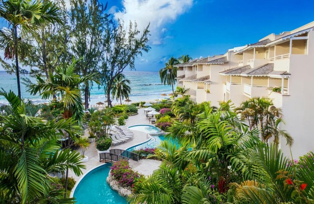 Bougainvillea Barbados 