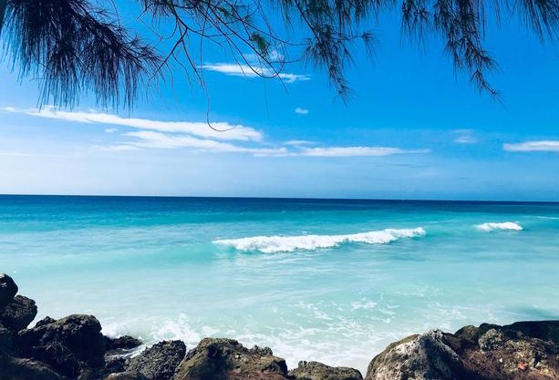Divi Southwinds Beach Resort
