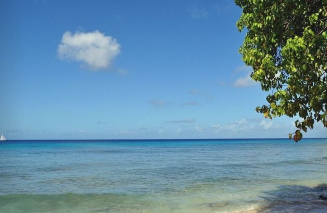 Marvelous 5Br Private Heated Pool Villa In Barbados